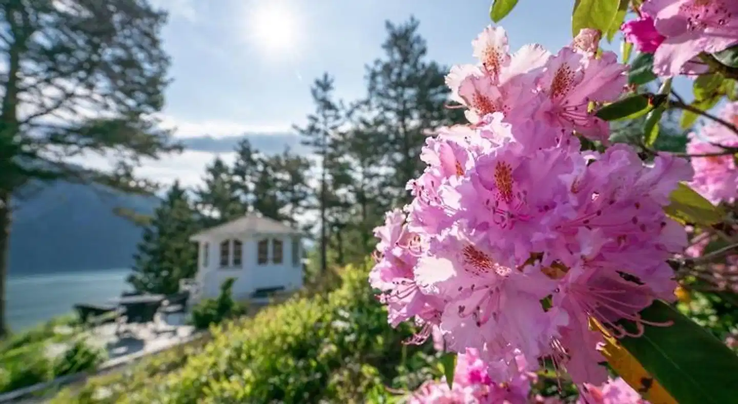 Dragsvik Fjordhotel Aussenansicht