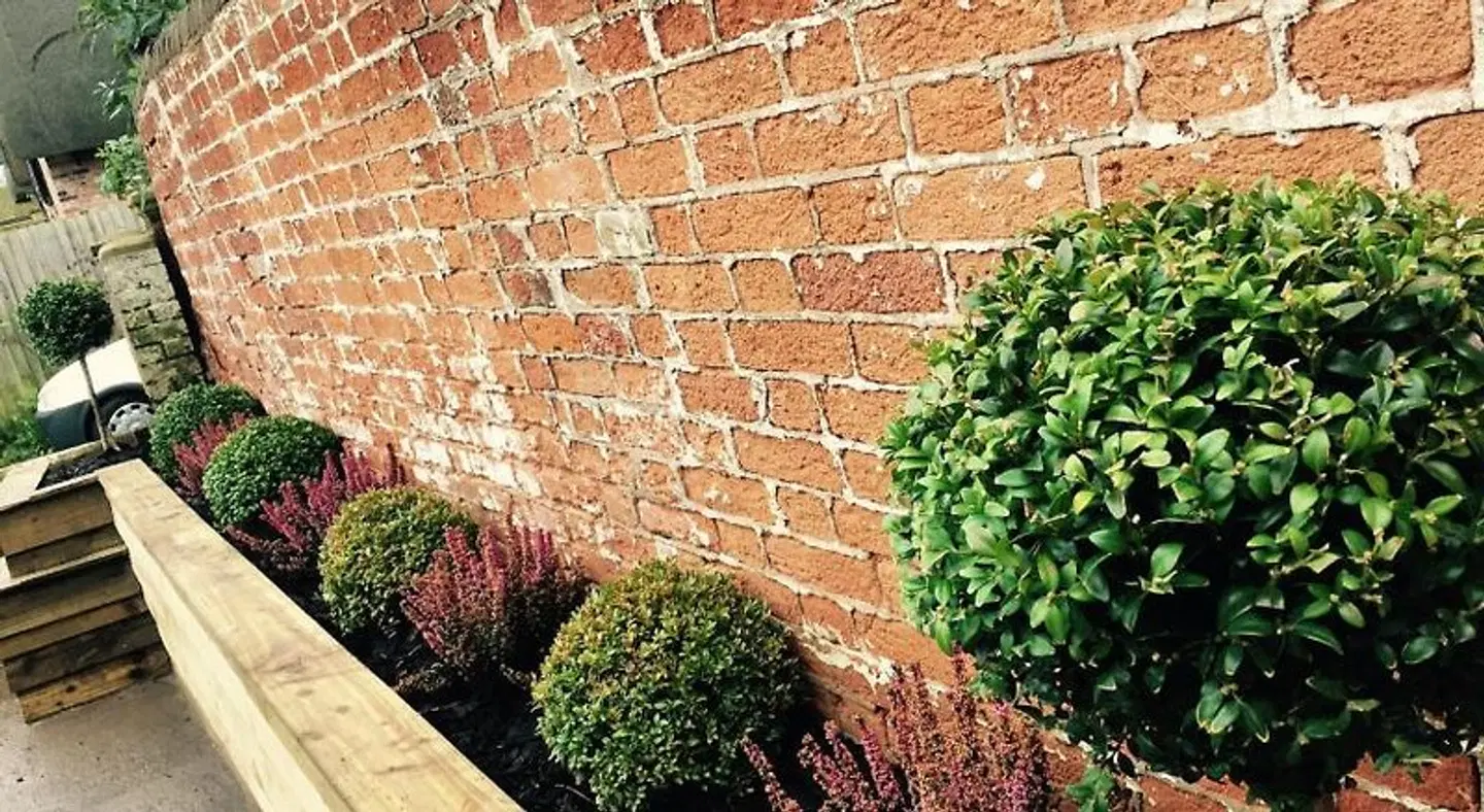 Three Crowns Guest House Garten