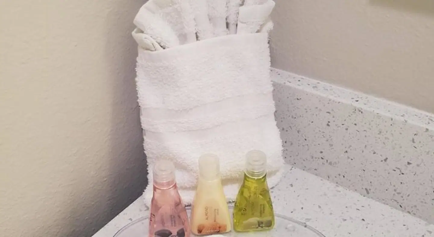 Palace Inn Blue Tomball Parkway Badezimmer