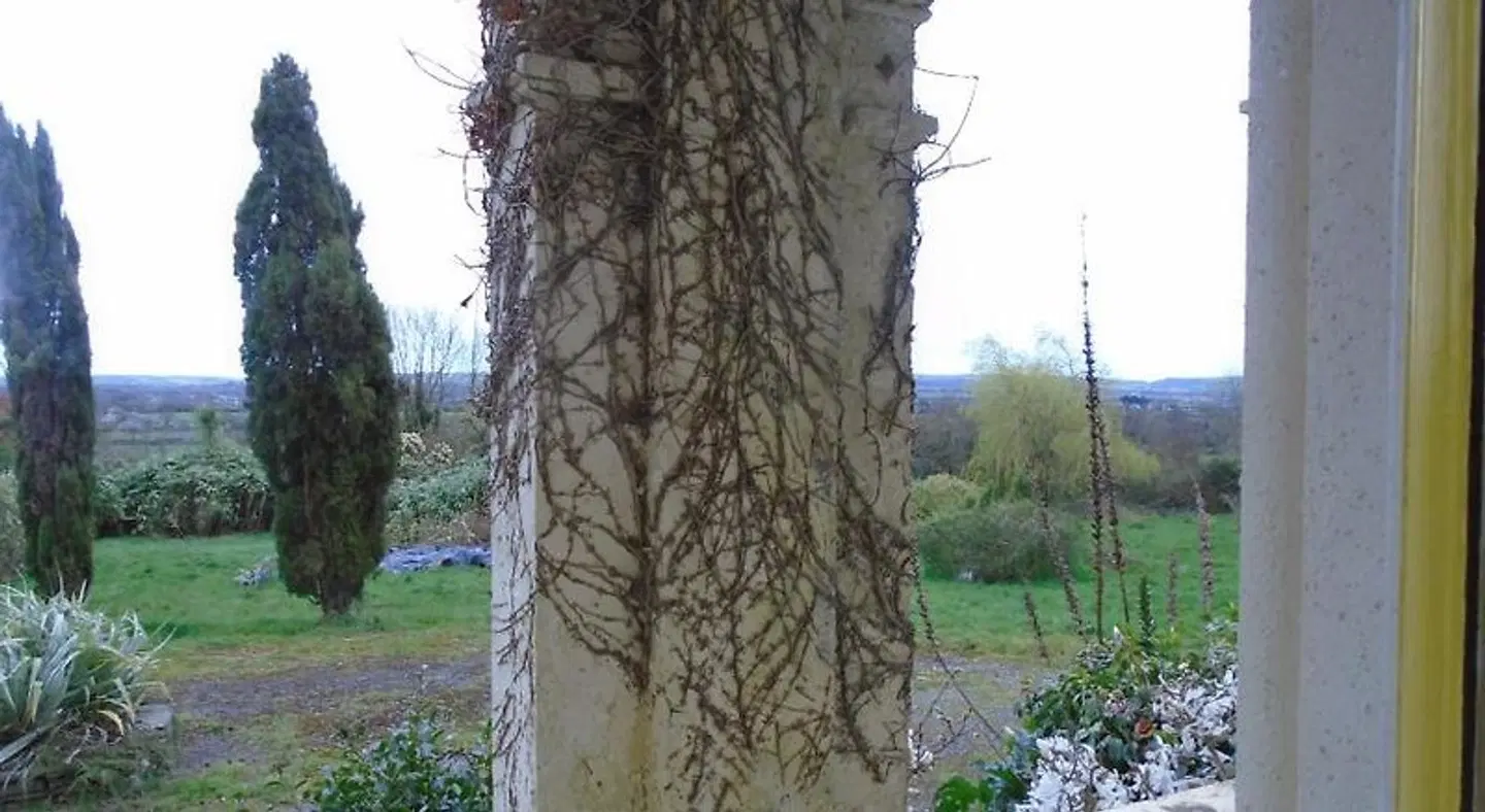 Ballynona House LANDSCAPE