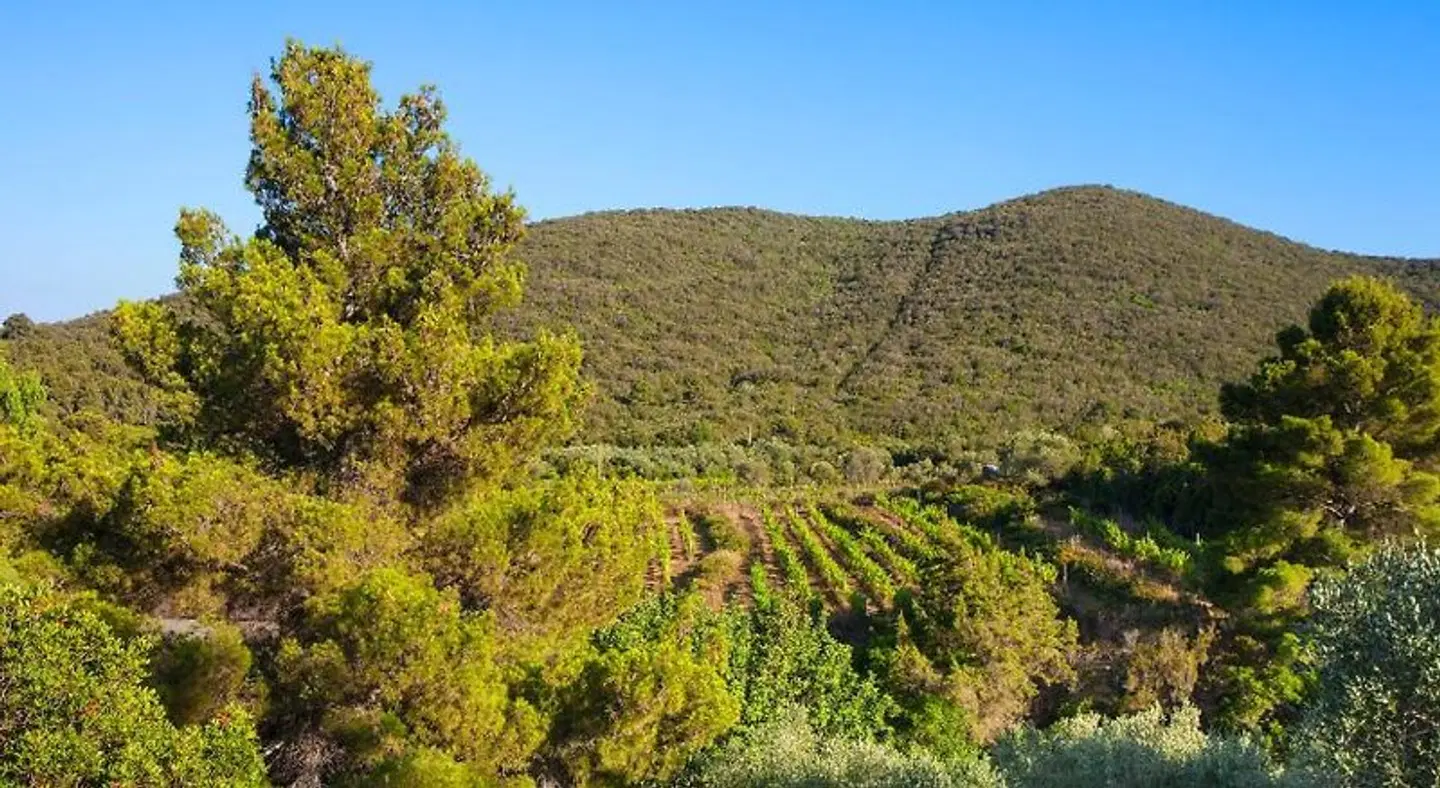 Agriturismo Galenzana LANDSCAPE