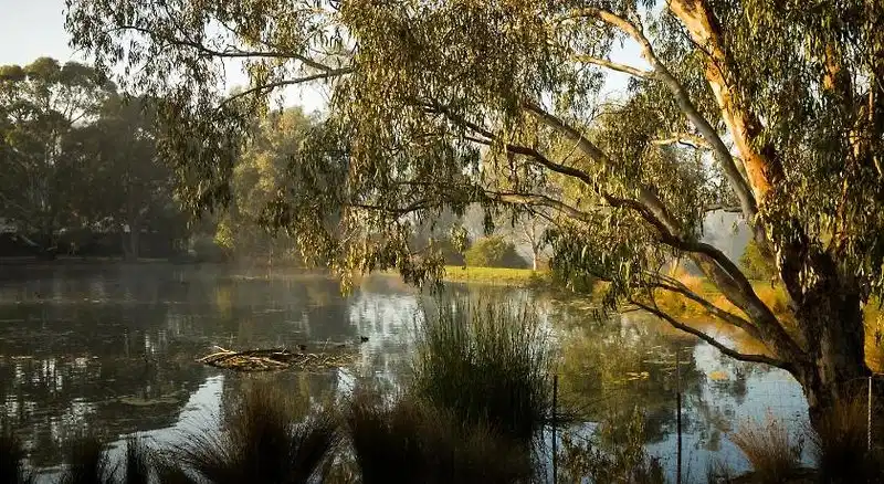 The Burrow at Wombat Bend – Hotelfoto