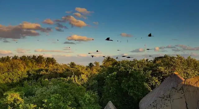 Mamasan Treehouses & Cabins Landschaft