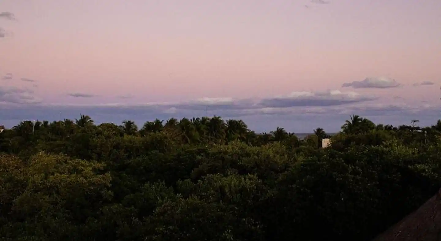 Mamasan Treehouses & Cabins Landschaft