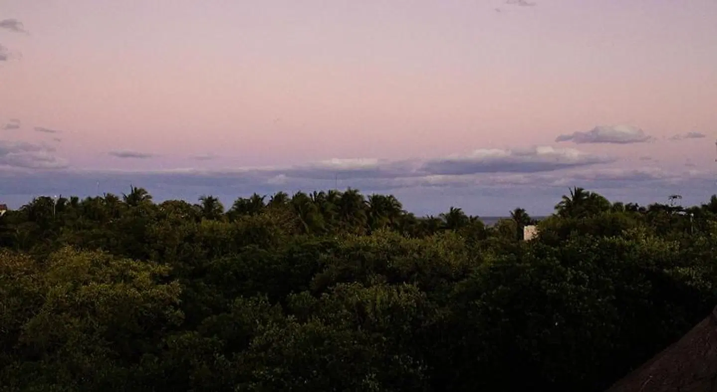 Mamasan Treehouses & Cabins LANDSCAPE