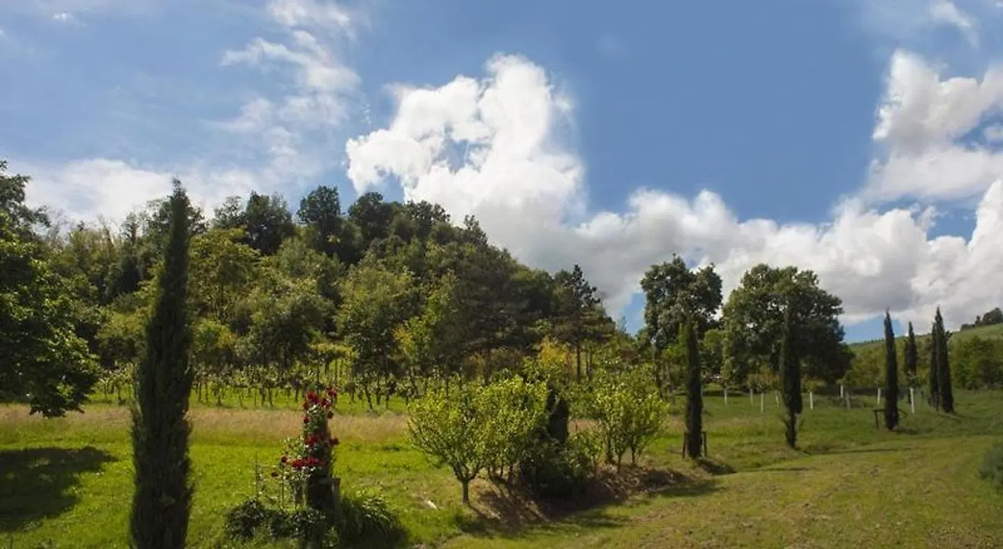 Agriturismo Il Cavicchio LANDSCAPE