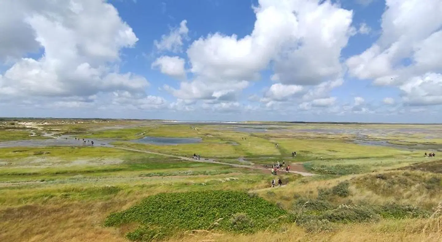 B&B TxL LANDSCAPE