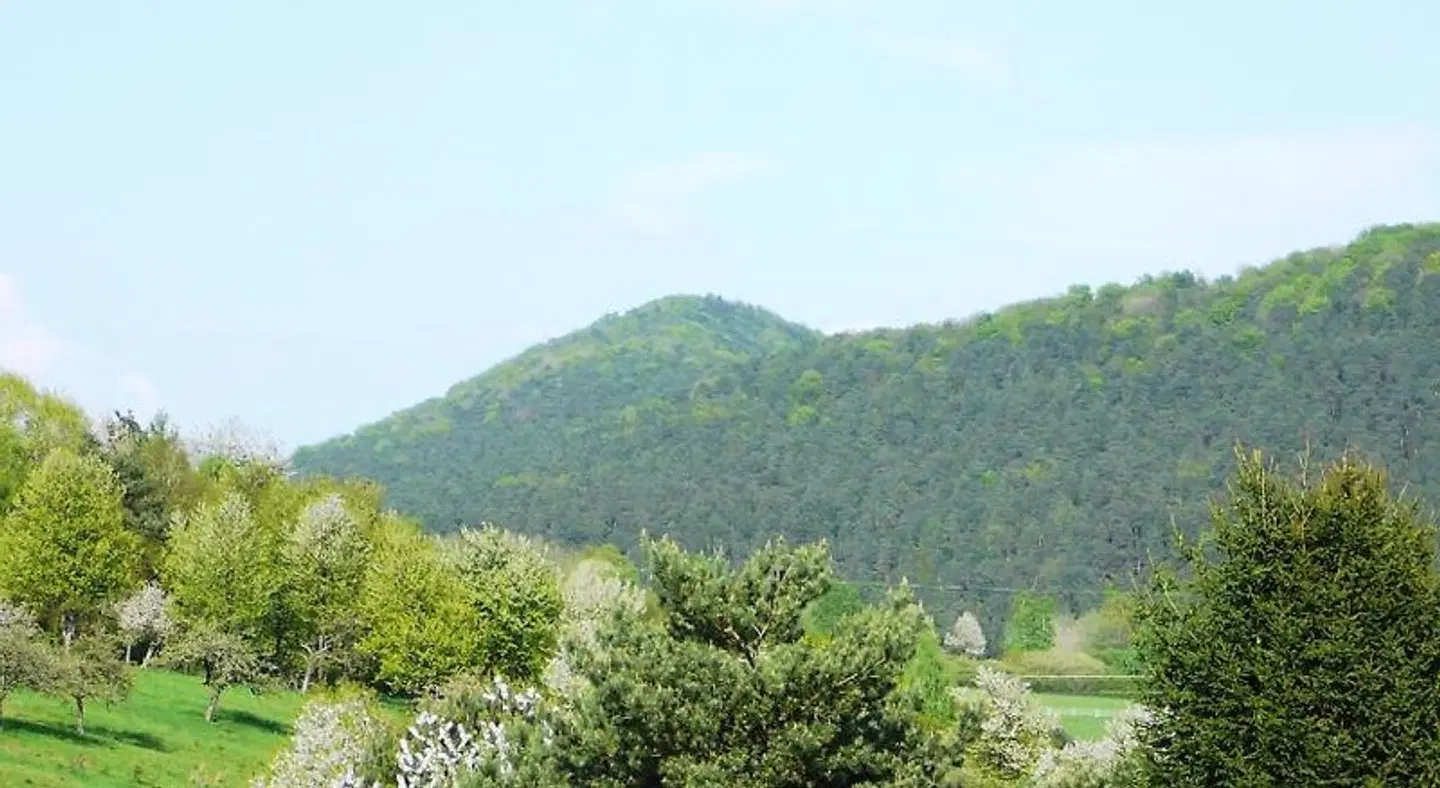 Zum Ochsen LANDSCAPE