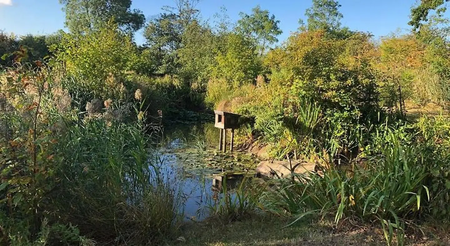 Paull Holme Farm Garten