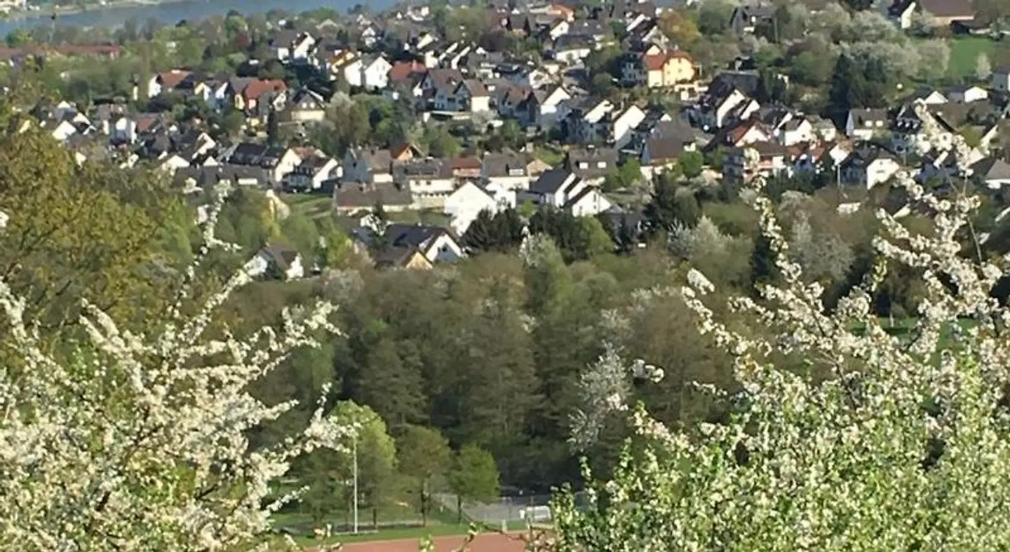 Haus Mittelrhein LANDSCAPE