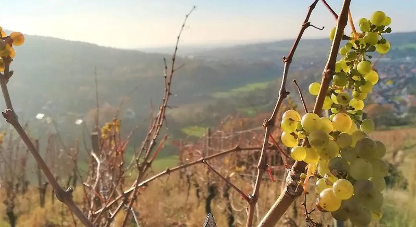 Gasthaus Dörsthof SPORTS_AND_LEISURE