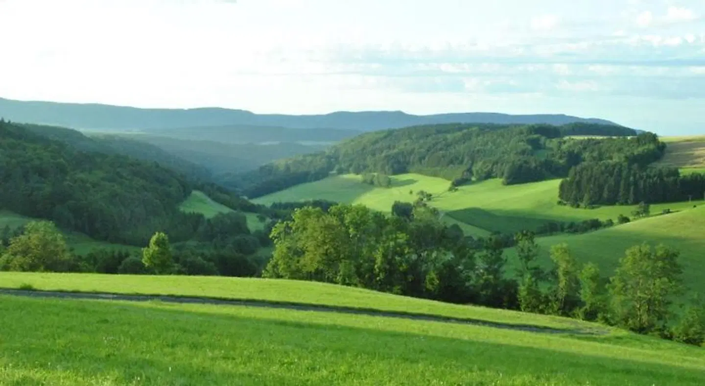 Kranz LANDSCAPE