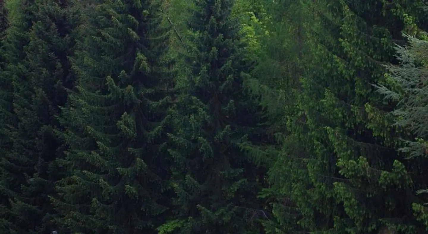 Flörsbacher Hof LANDSCAPE