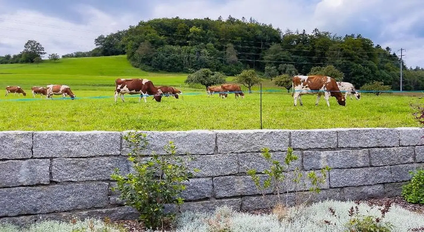 Belair Beinwil - B&B Tiere