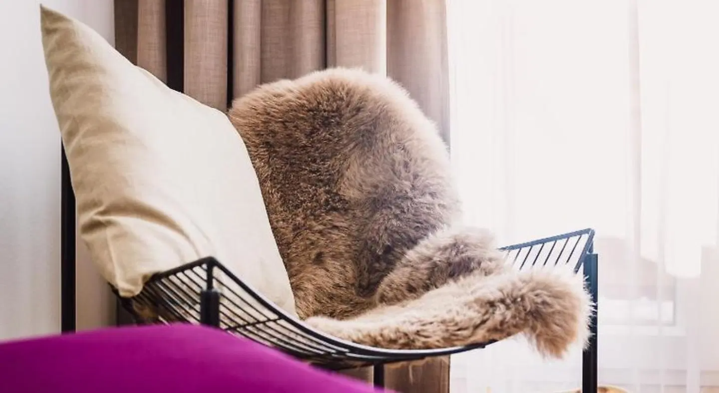 Schachner Tiere