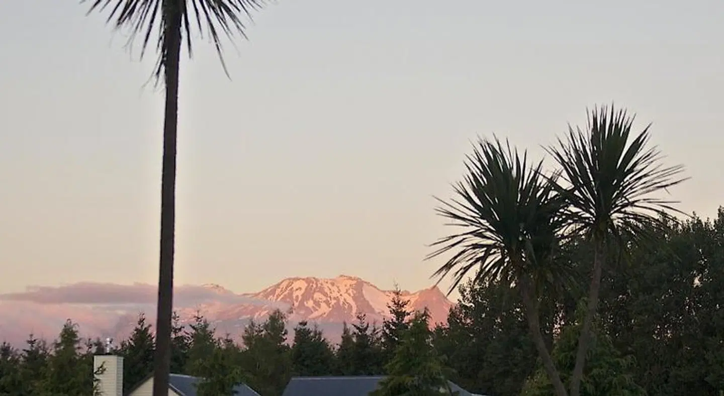 Ruapehu Country Lodge LANDSCAPE