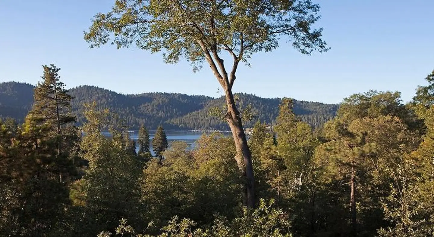 UCLA Lake Arrowhead Lodge LANDSCAPE