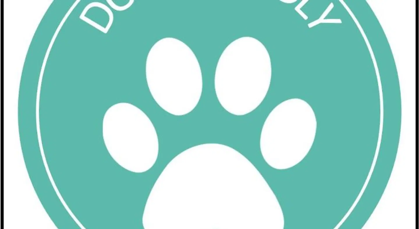 Basecamp Resorts Revelstoke MODEL_IMPRESSION