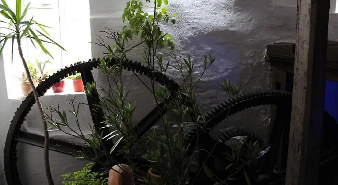 Gewürzmühle LANDSCAPE