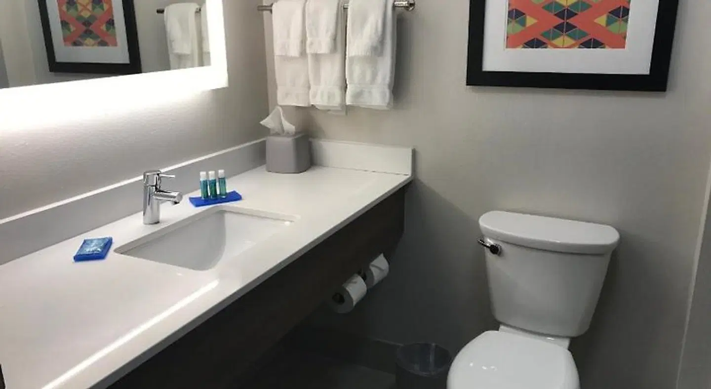 Holiday Inn Express Naples South - I-75 by IHG Badezimmer