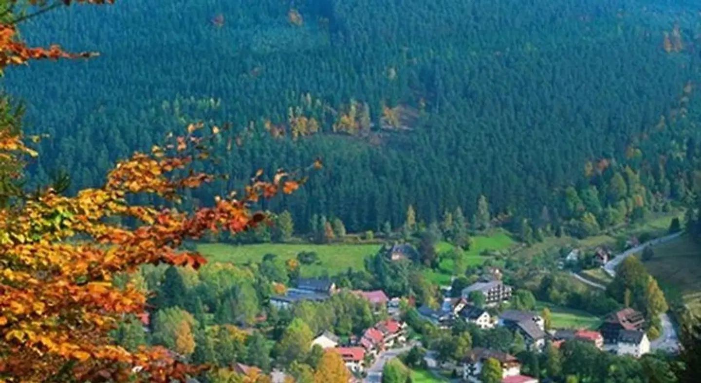 Schwarzwaldhof LANDSCAPE