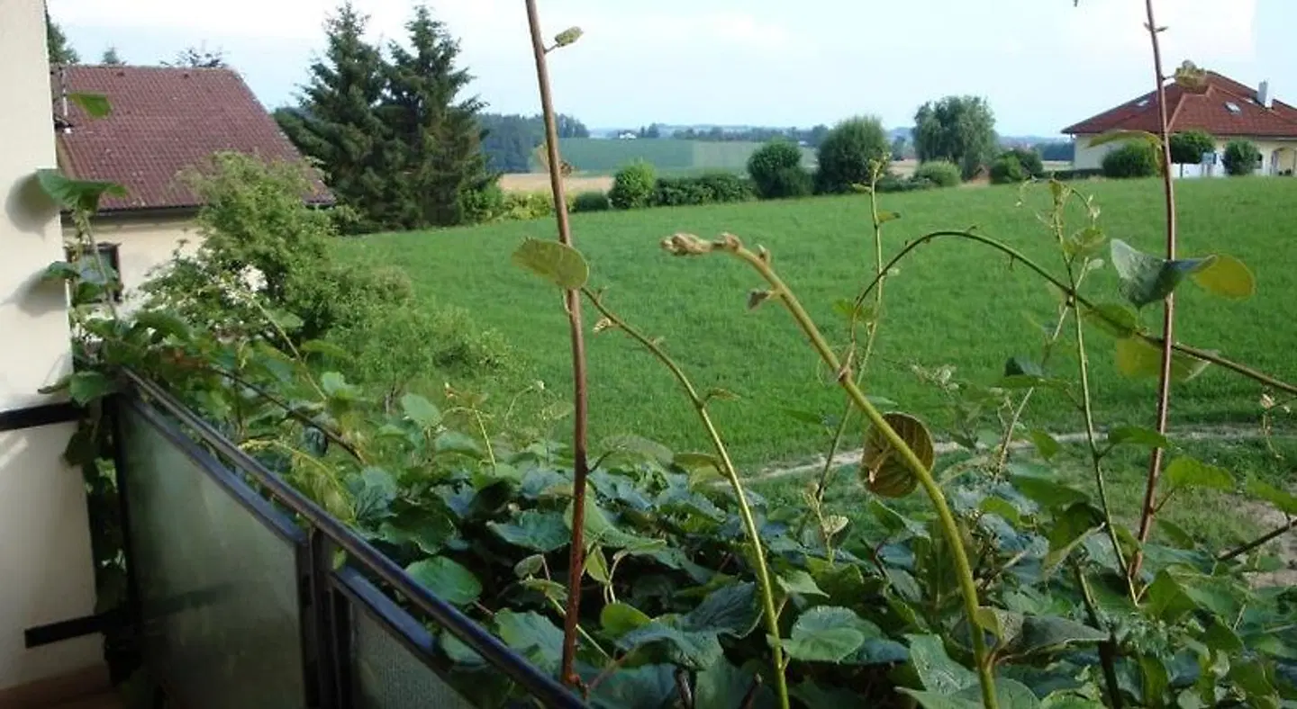 Landgasthof Waldesruh SPORTS_AND_LEISURE