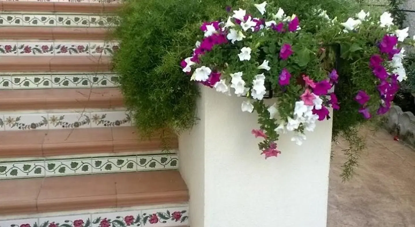 Bed and Breakfast Angolo Fiorito EXTERIOR