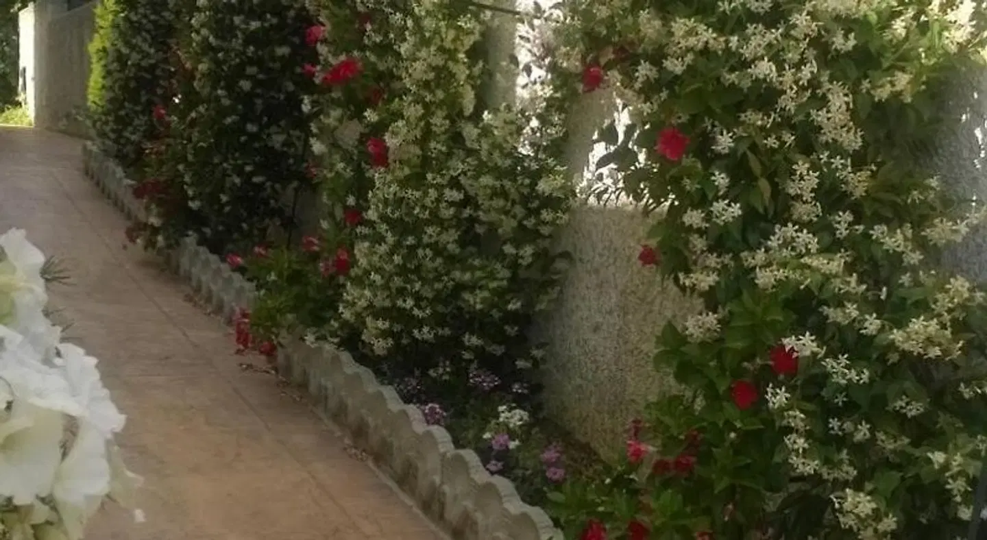 Bed and Breakfast Angolo Fiorito LANDSCAPE