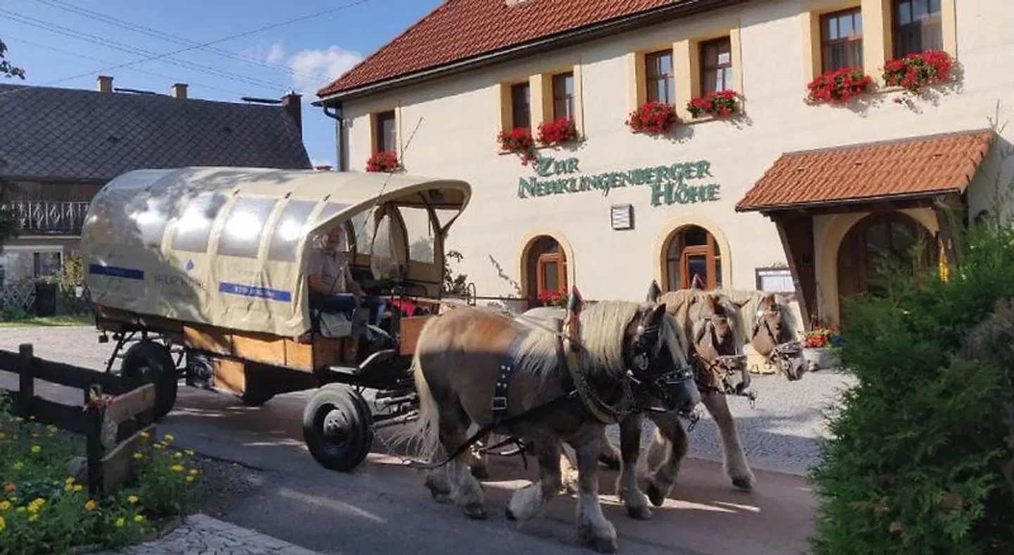 Natur- und Businesshotel NEUE HÖHE SPORTS_AND_LEISURE