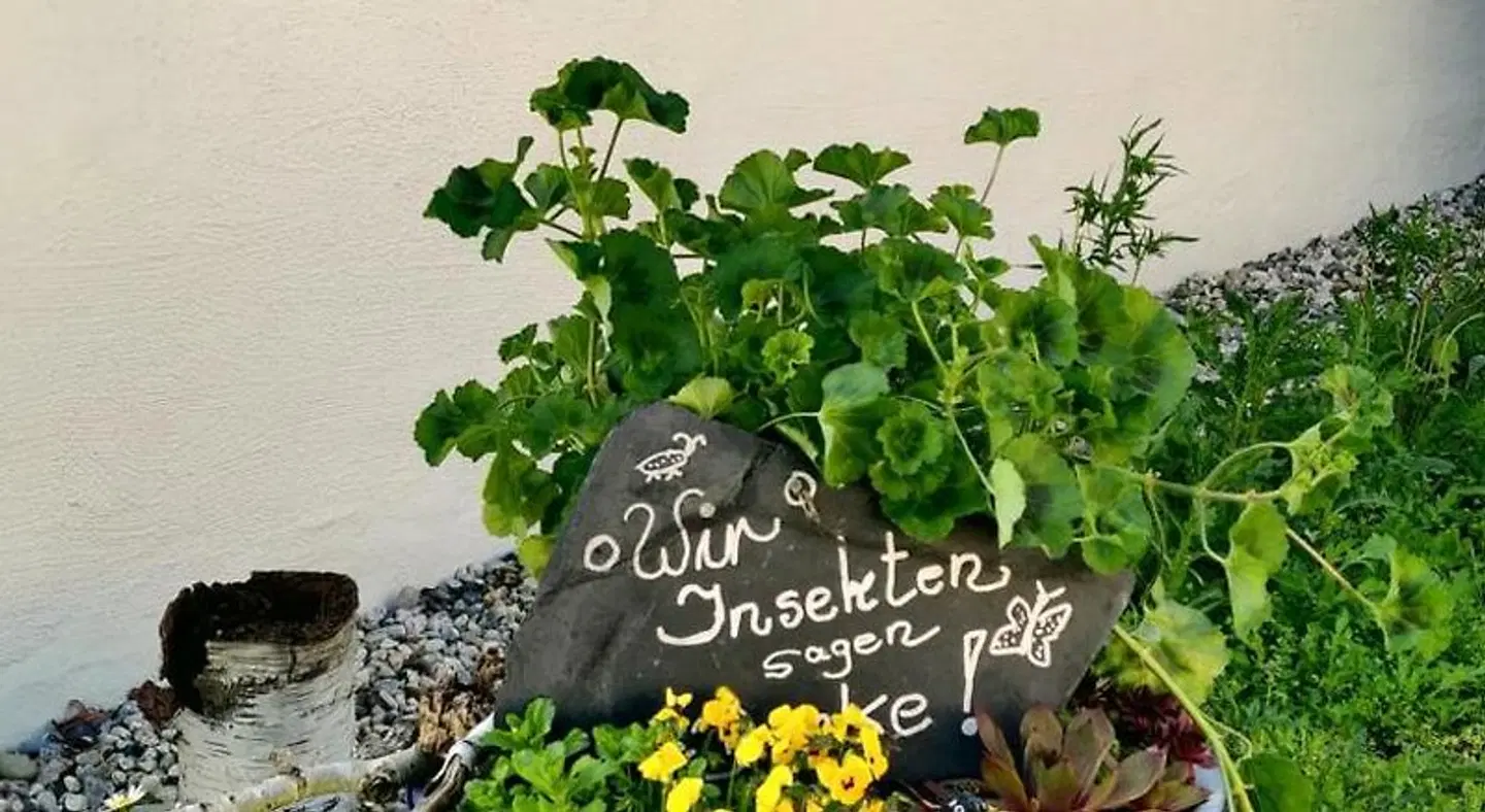 Natur- und Businesshotel NEUE HÖHE Landkarte