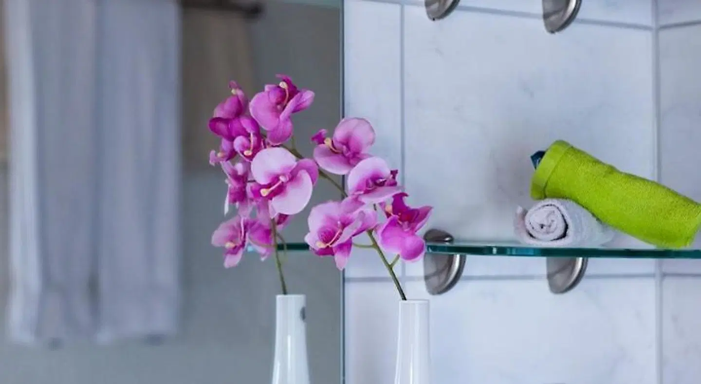 Haus Rose Badezimmer