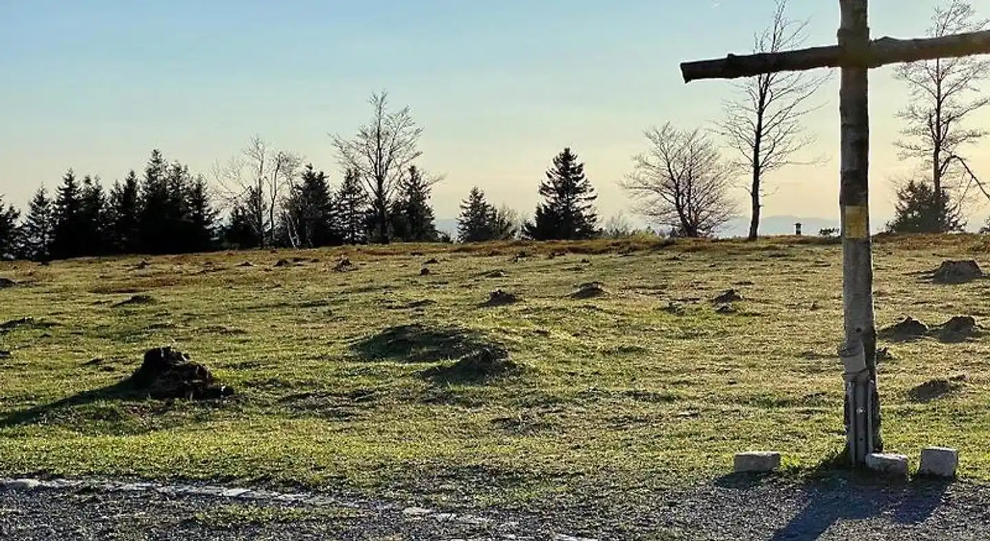Kahler Asten Berggasthof Tiere