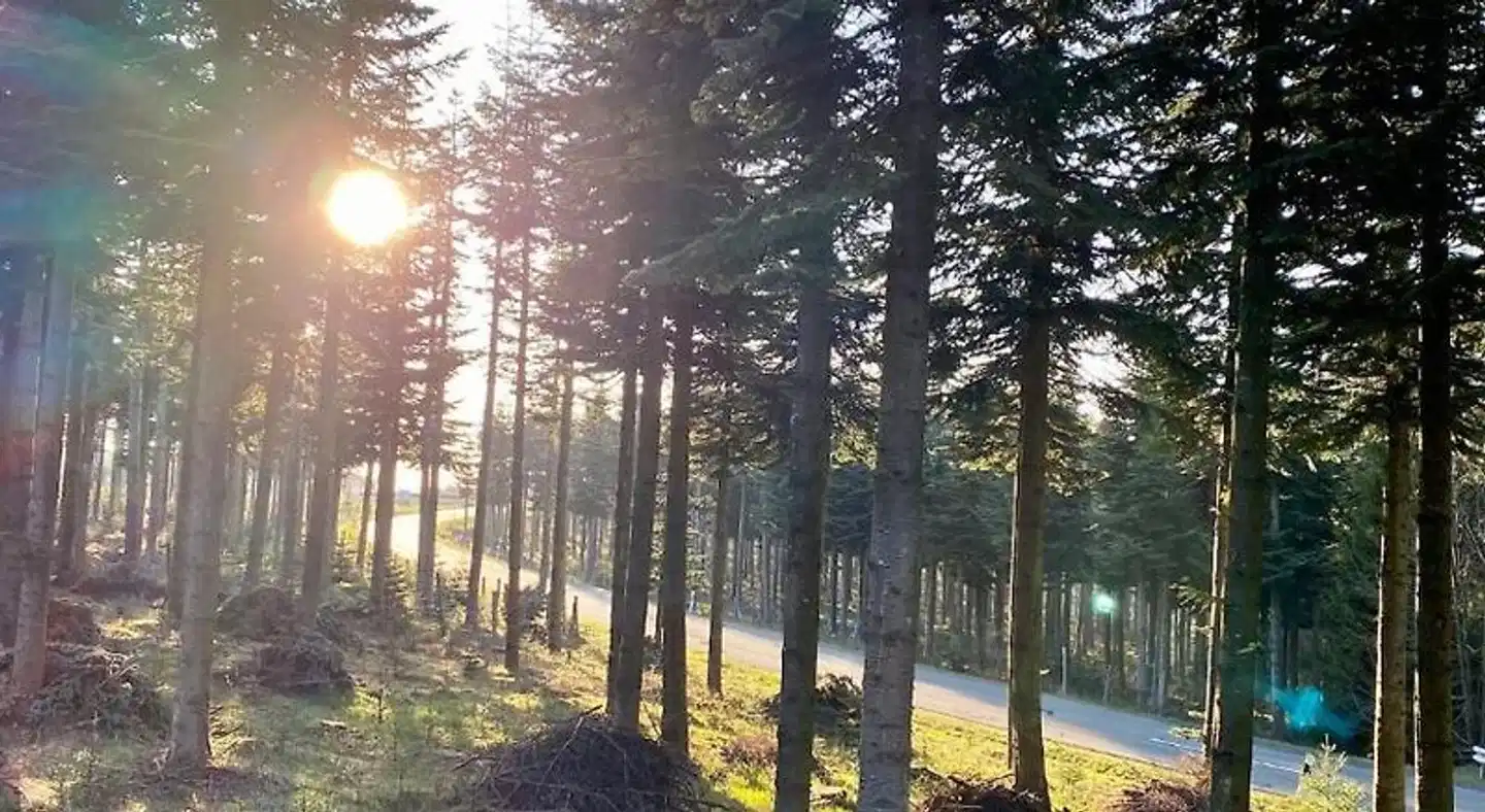 Kahler Asten Berggasthof Landschaft