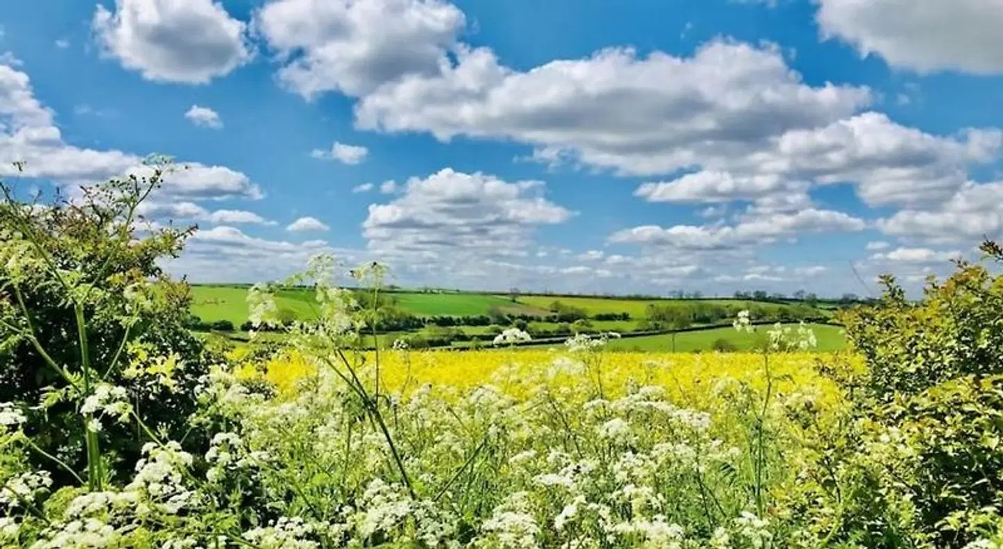 The Old Pheasant LANDSCAPE