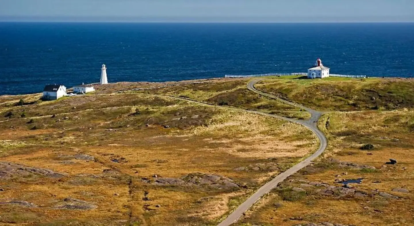 Holiday Inn St. John's Conference Centre by IHG LANDSCAPE