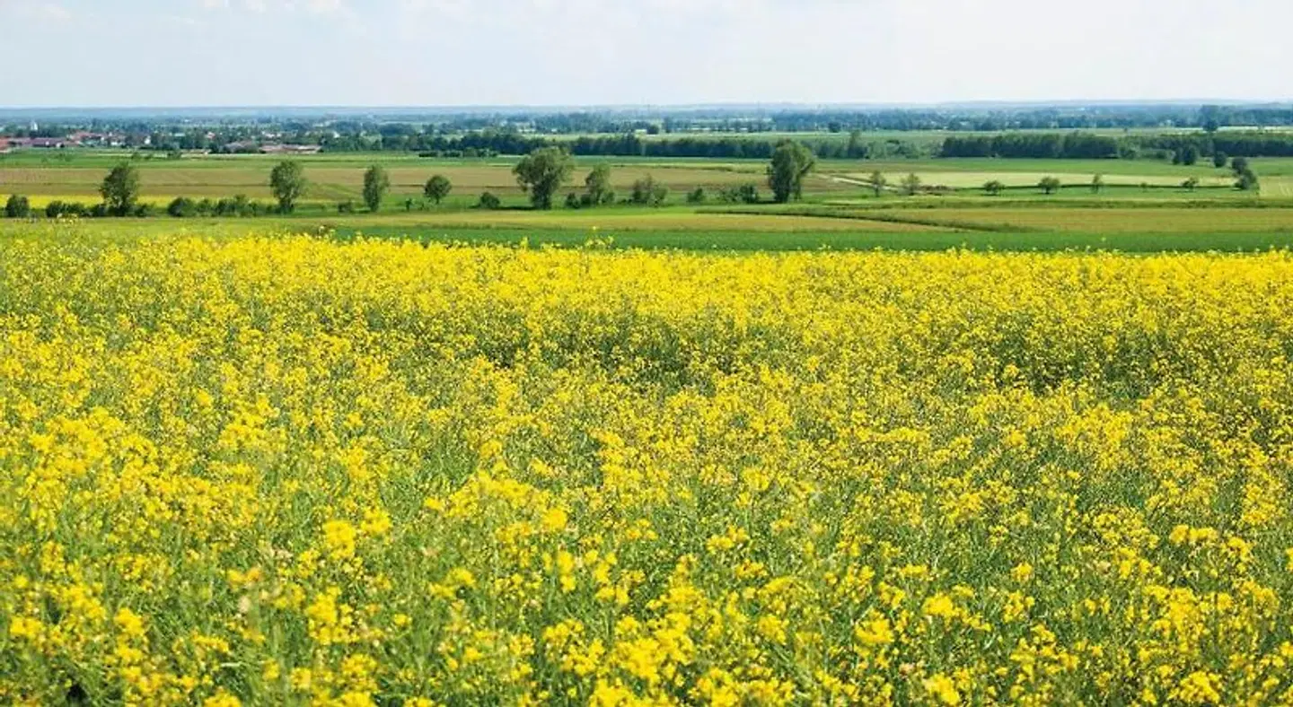 Hotel Zum Schlössle LANDSCAPE