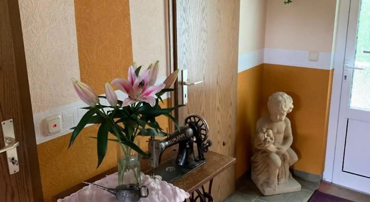 Pension Triebischtal ROOM_EXAMPLE