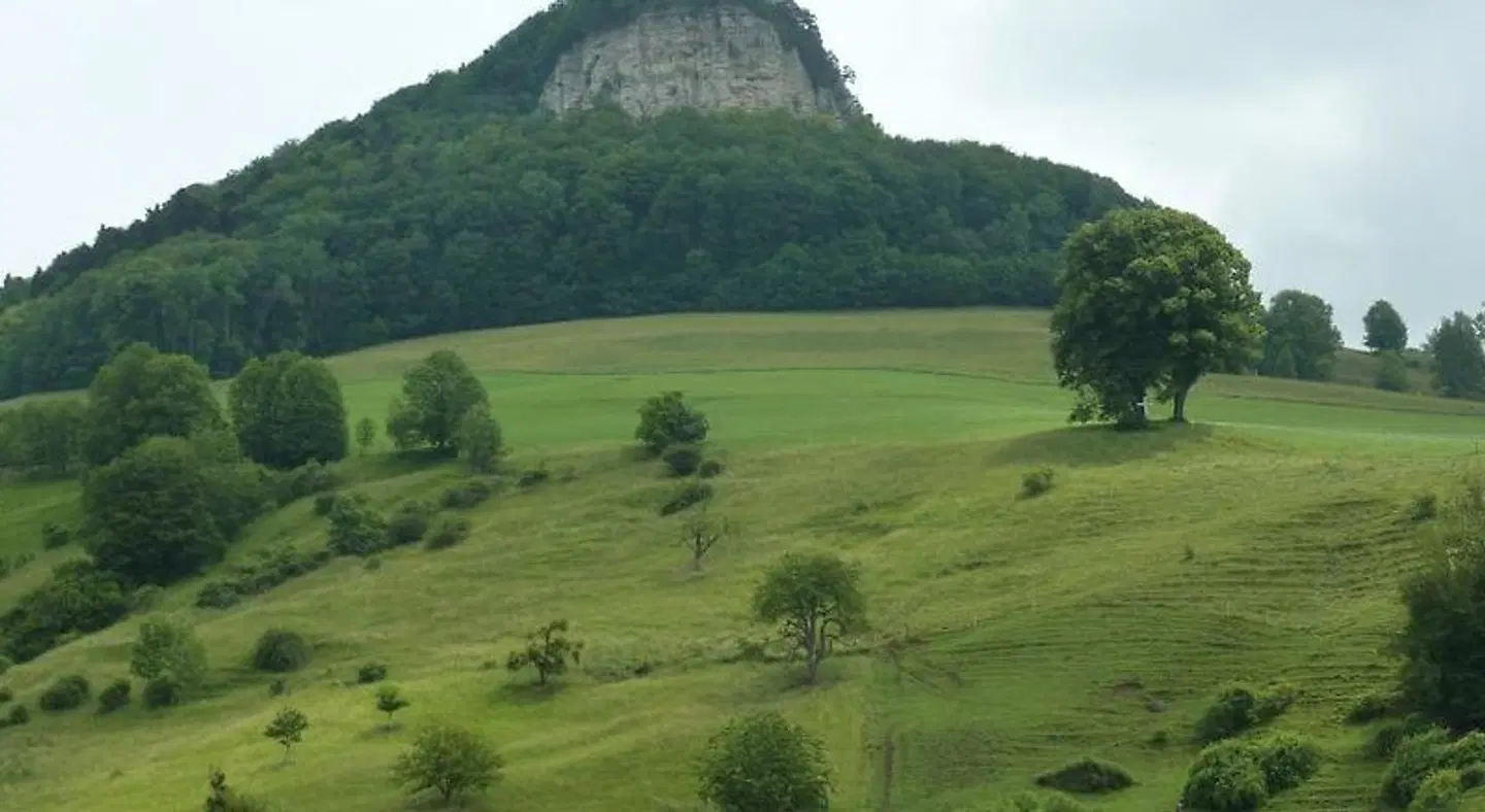 Löwen LANDSCAPE