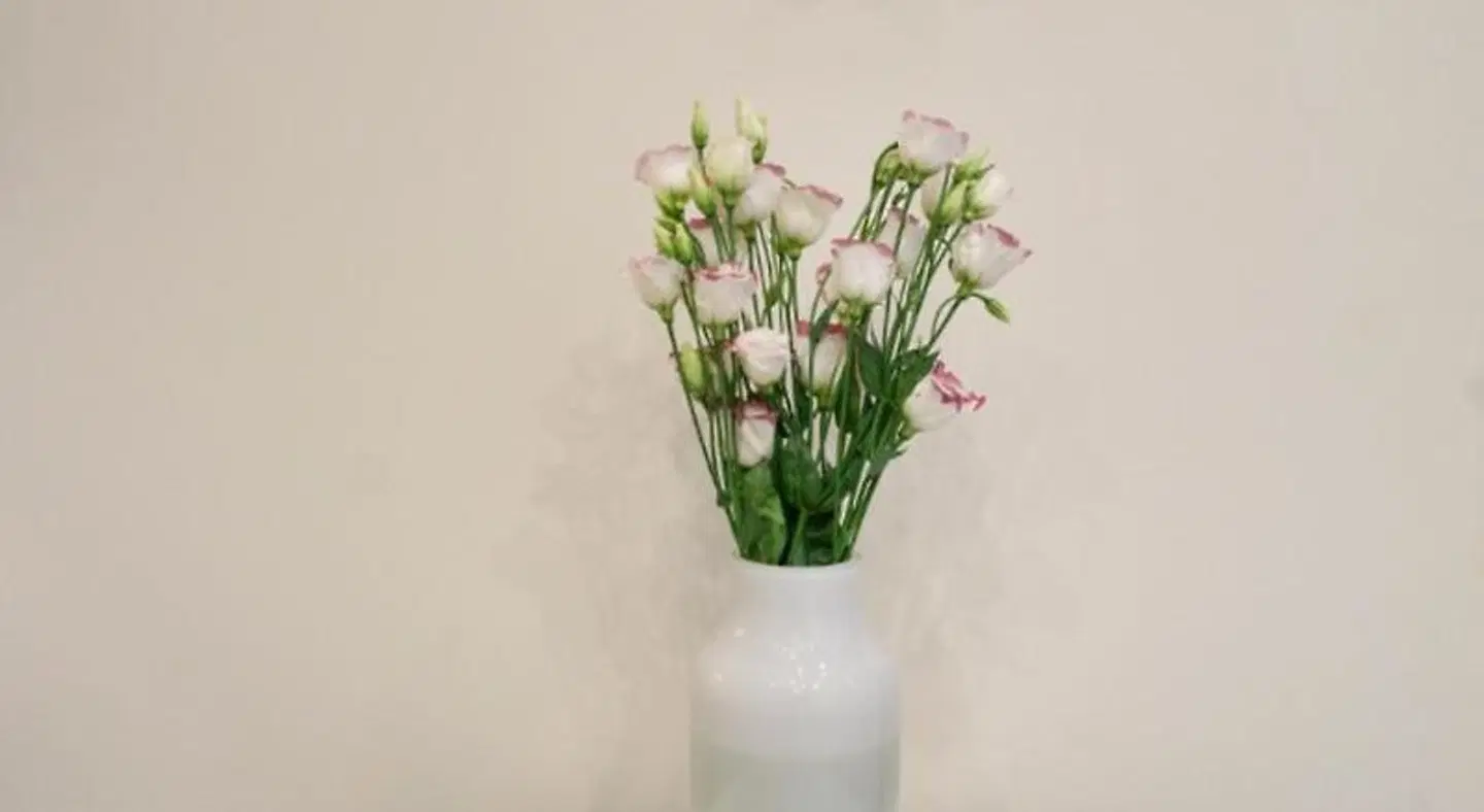 Casa Del Porto LOUNGE_LOBBY