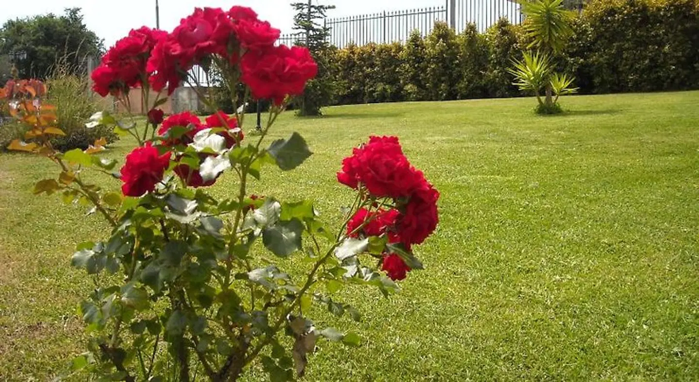 Aurora dell'Etna Garten