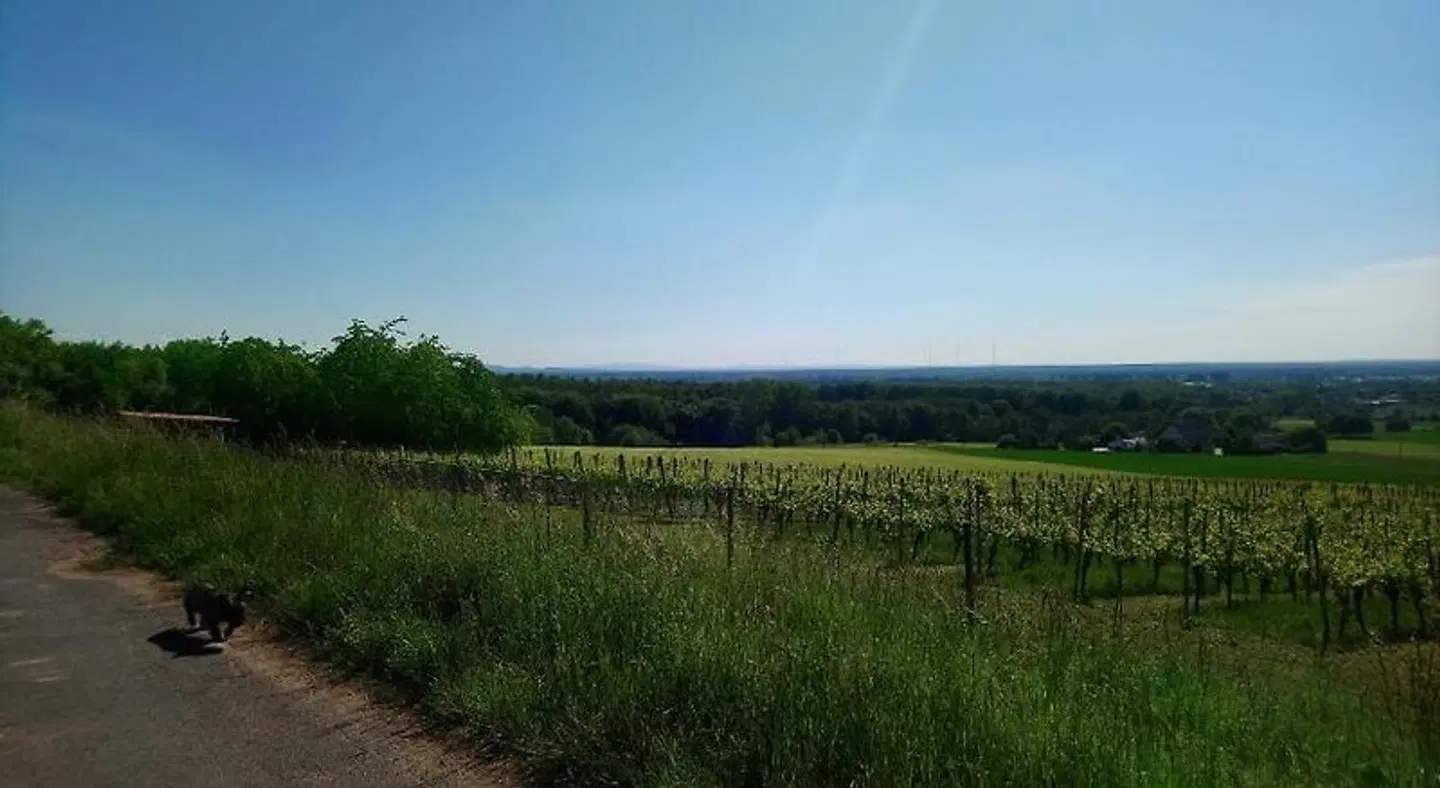Käfernberg LANDSCAPE