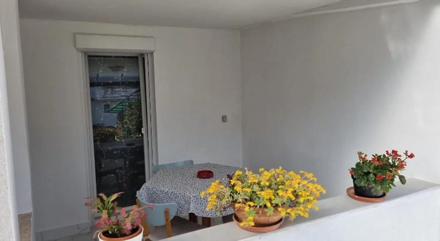 Apartments Palaziol ROOM_EXAMPLE