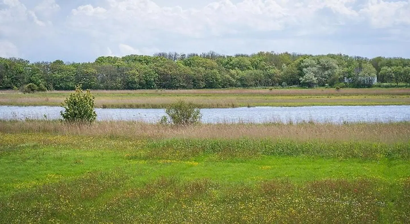 Hotel het Anker van Texel LANDSCAPE