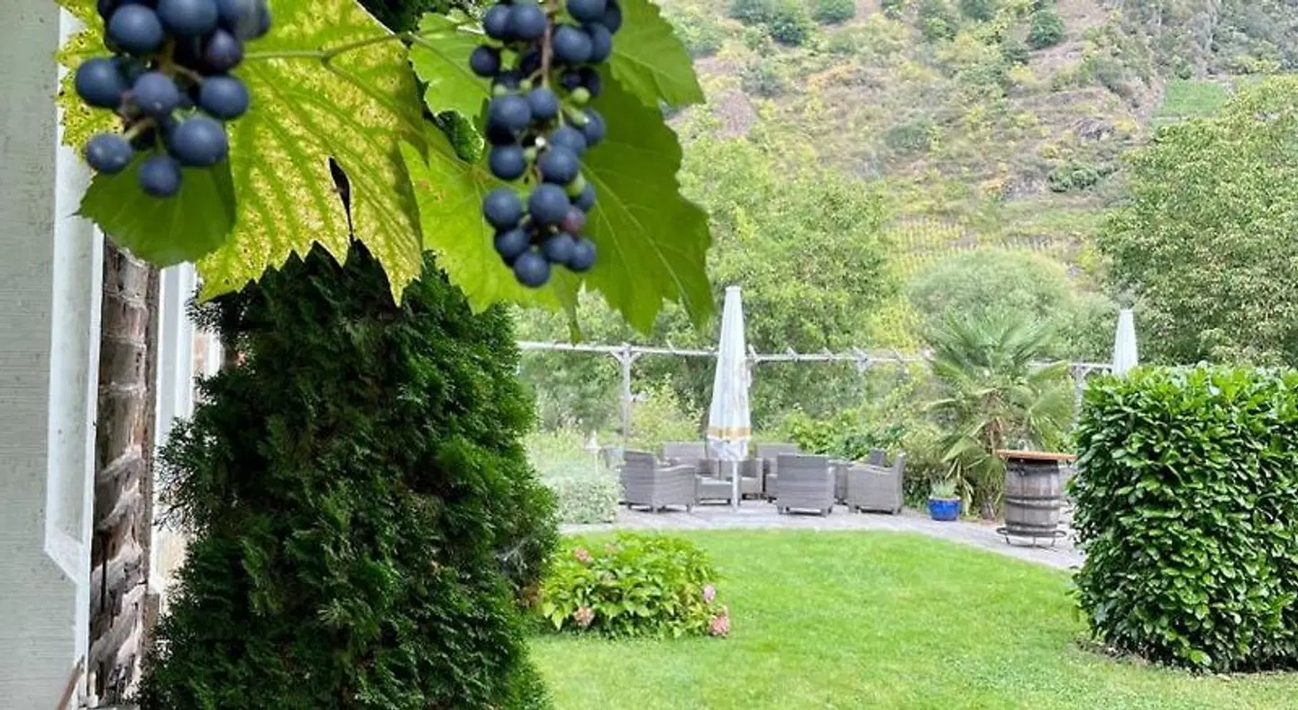 Altes Pfarrhaus Garten