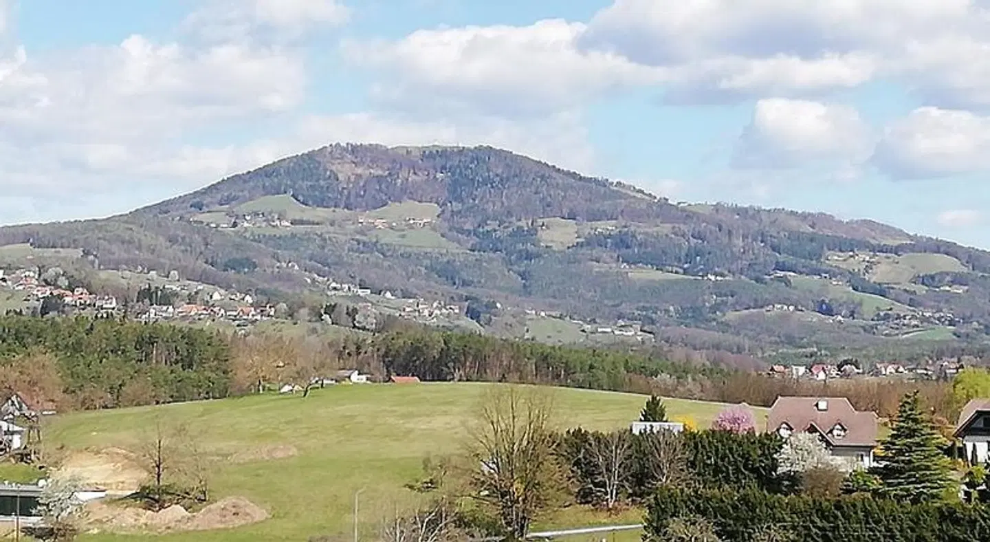 Wachmann LANDSCAPE