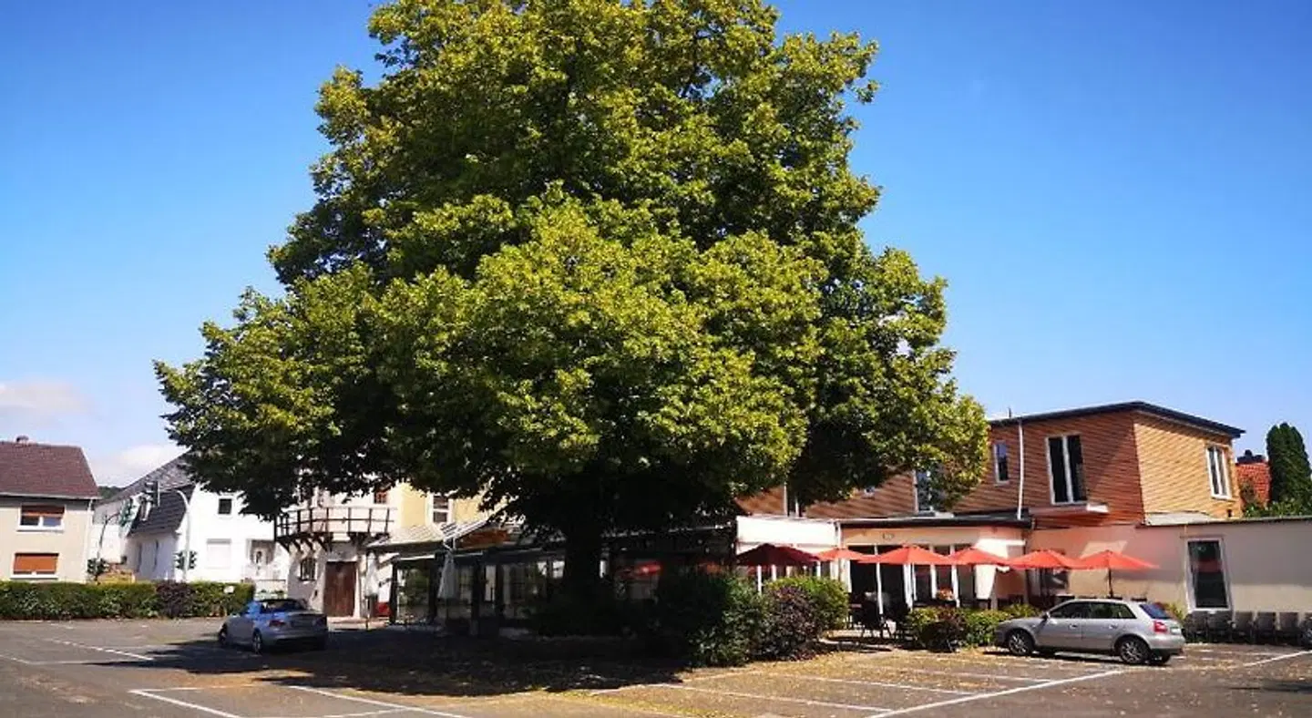 Zur Mühle EXTERIOR
