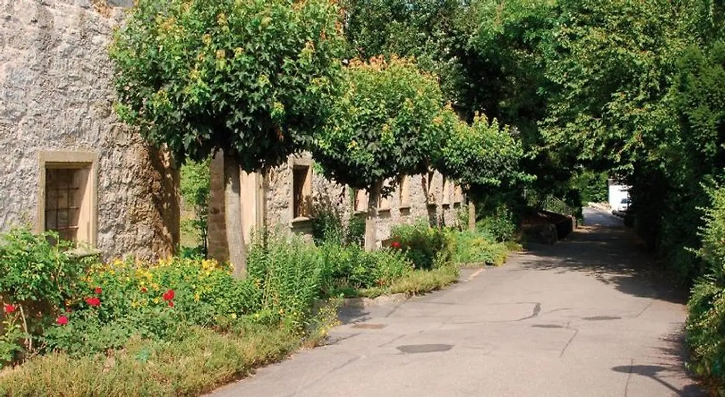 Schloß-Hotel Ingelfingen Garten
