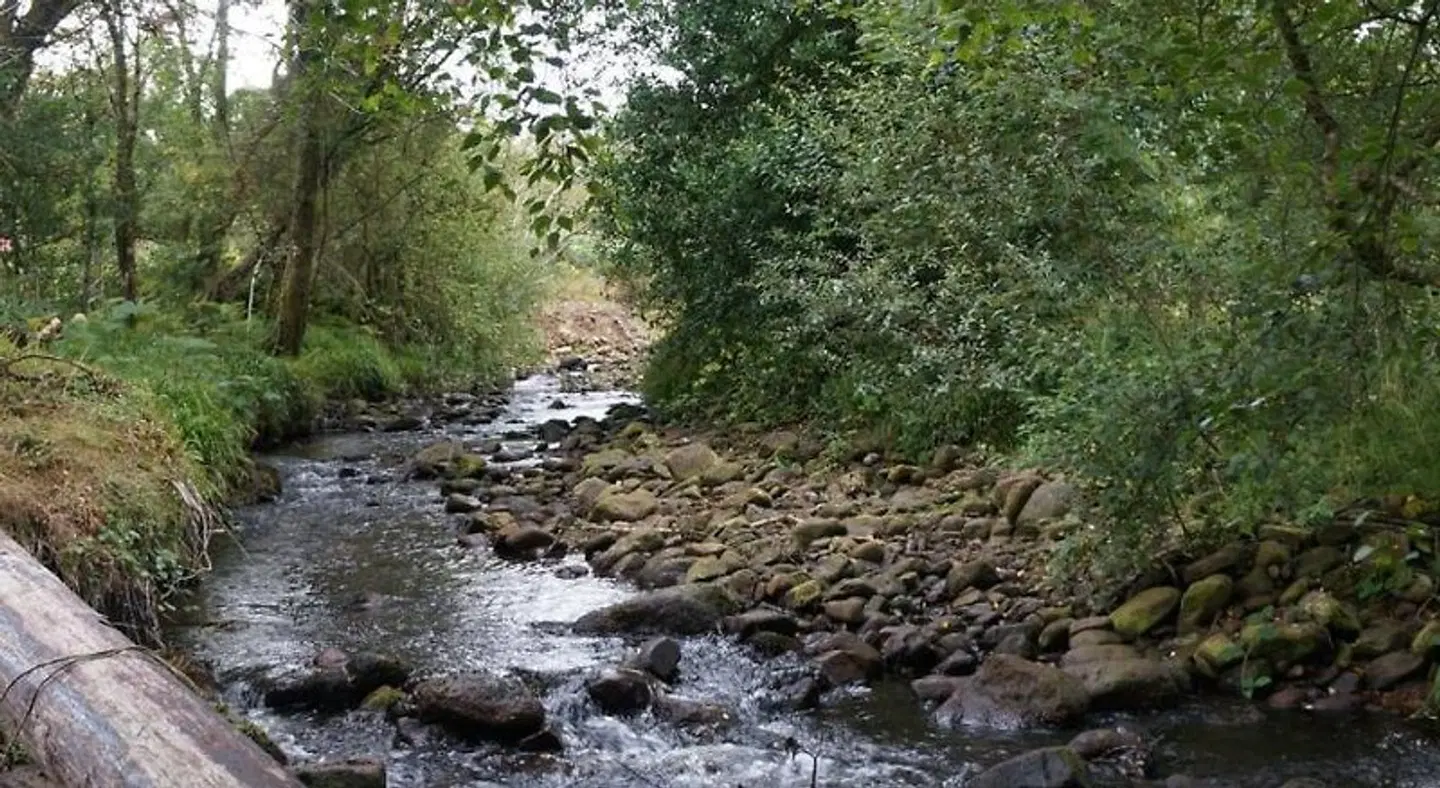 Deerbrook House B&B LANDSCAPE