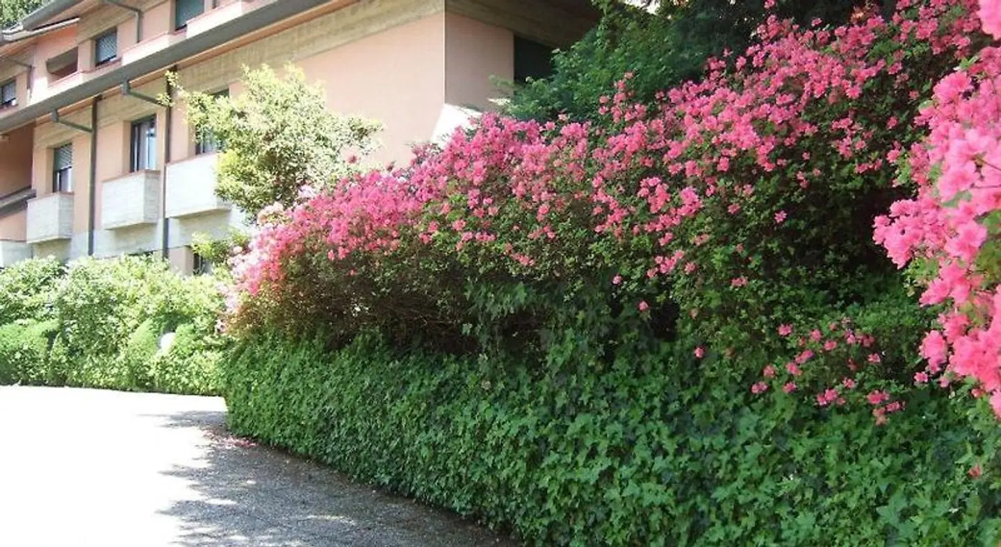 Canturio Garten