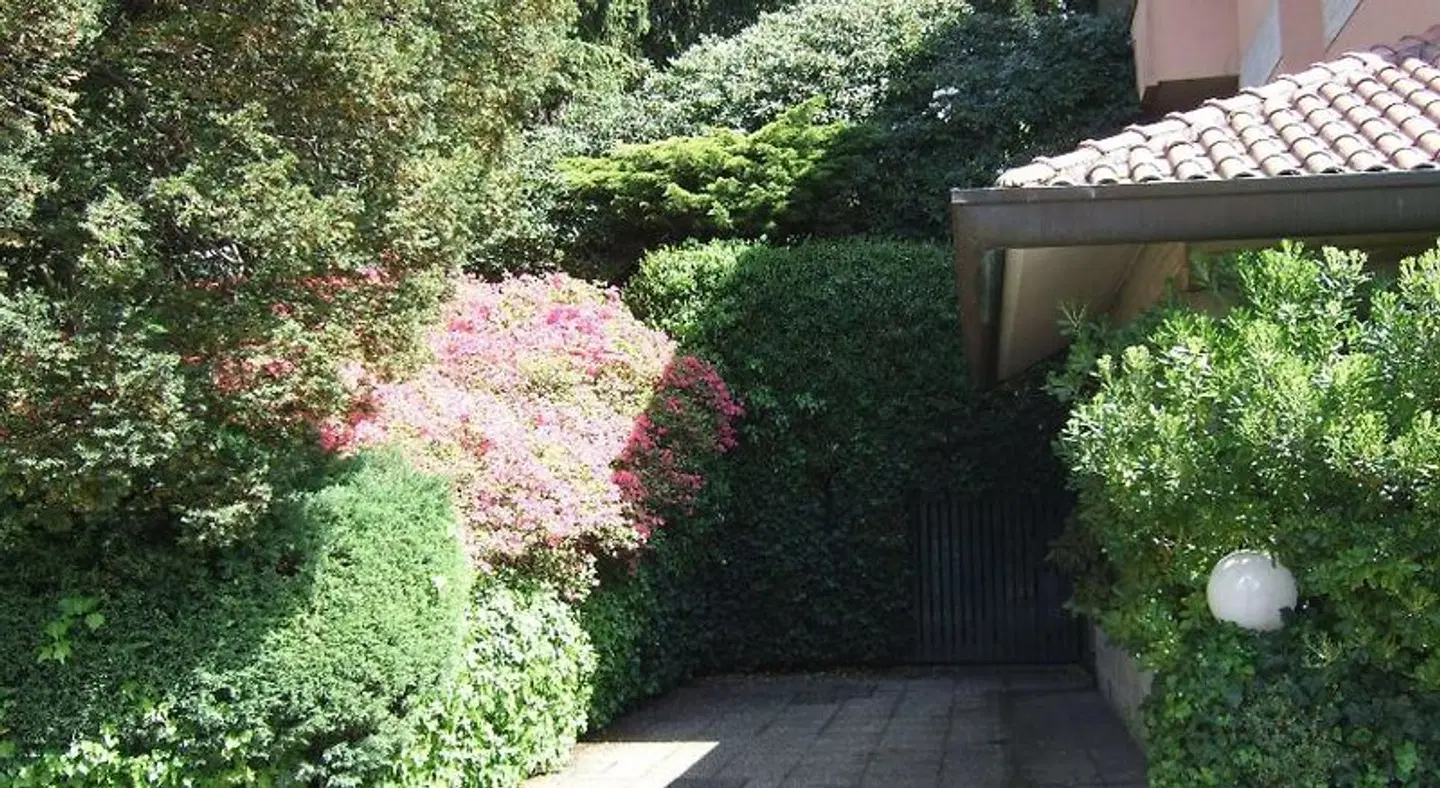 Canturio Garten